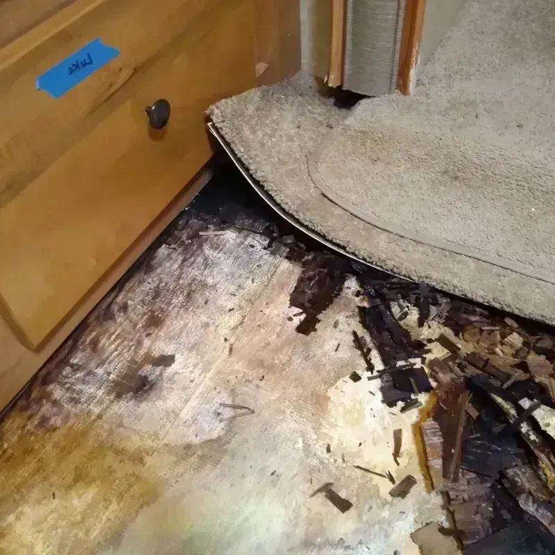 Wood Floor Water Damage in Highland City, FL